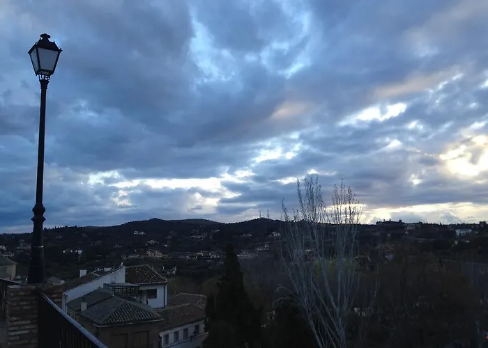 Greco - Aloha * 托萊多